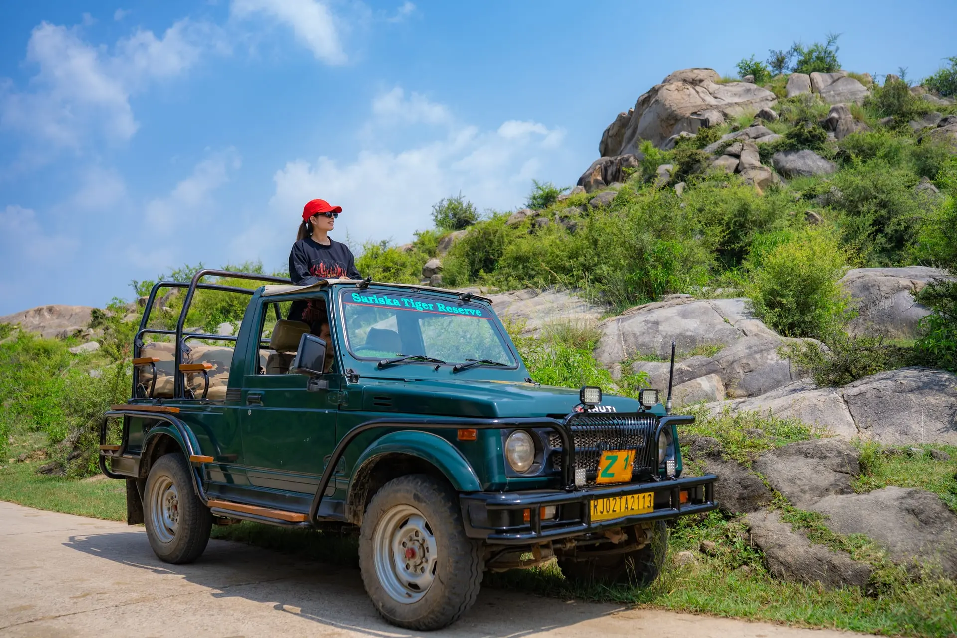 Jungle Safari