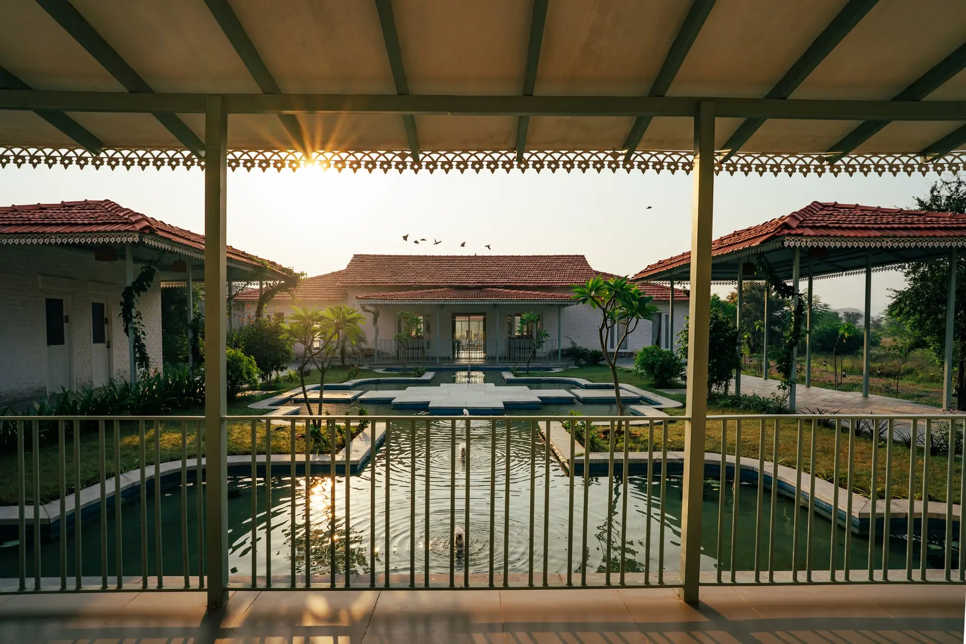 Aravalli Foothills & Native Bagh